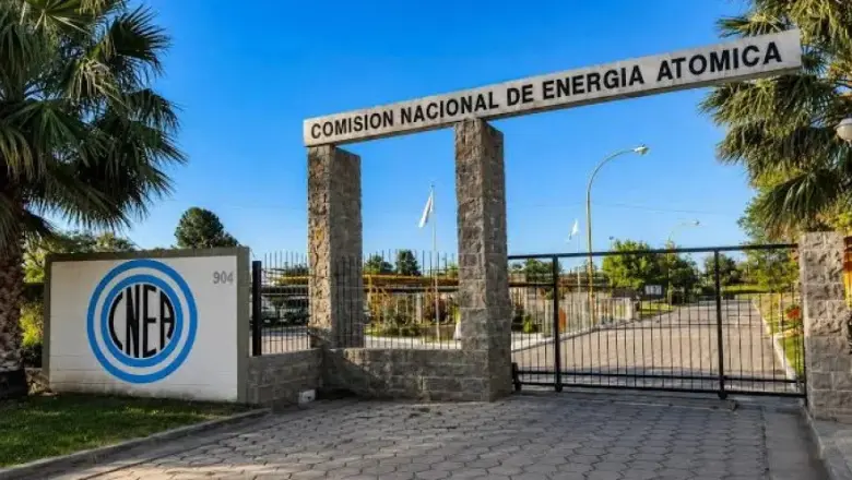 DESPIDOS EN LA CNEA: "Todo lo que se hace en el estado está pasando a manos privadas"