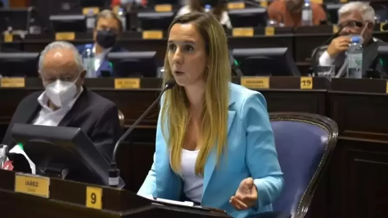 Lucía Iañez: "La apertura de importaciones producirá caída de la producción y alza de precios"