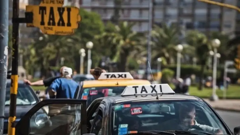 Taxis de Mar del Plata: "Las aplicaciones ilegales nos quitaron el 60 por ciento del trabajo"