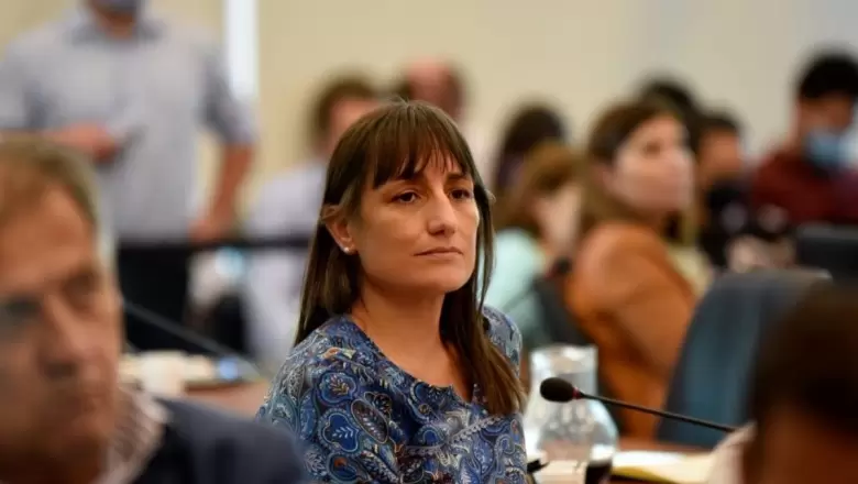 Romina Del Plá: "La quita de Ganancias a los salarios la veníamos reclamando desde la izquierda"