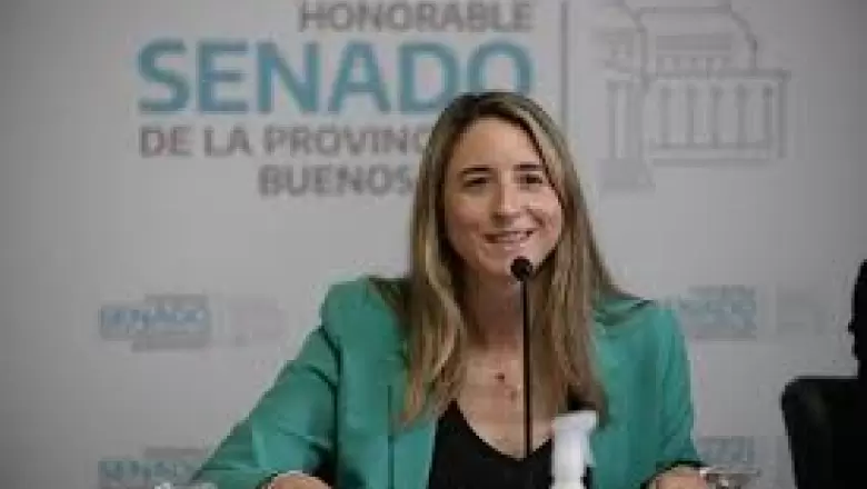 Flavia Delmonte: "Es hora de que la provincia regule el uso de animales en trabajos urbanos"