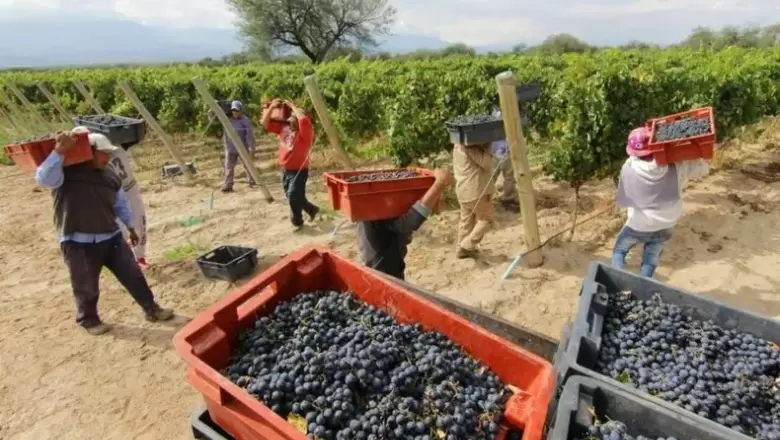 "General Alvear tiene vinos exquisitos, nada que envidiarle a otras zonas"