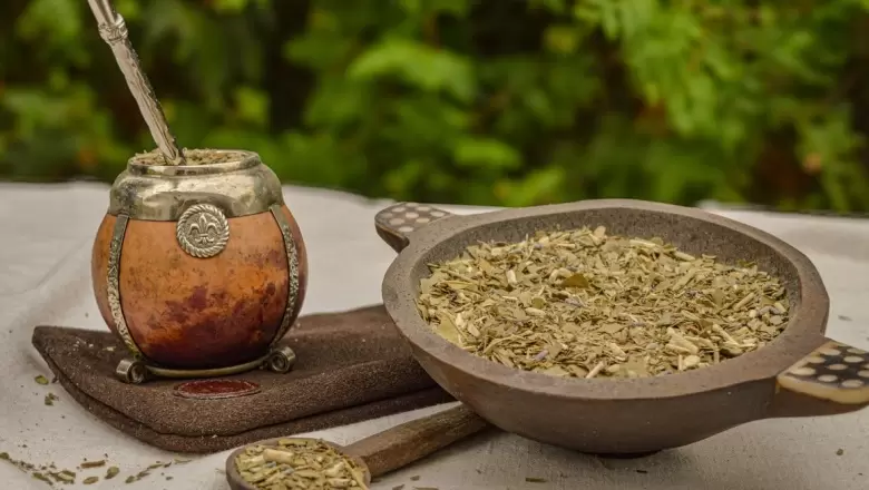 El ADN del mate: "Estamos desarrollando una yerba mate sin cafeína"