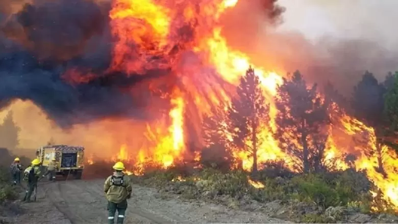 Incendios en la Patagonia: "Culpar al pueblo mapuche es irresponsable y malicioso"