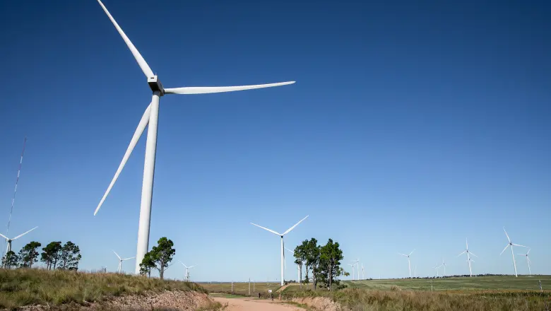 Diego Delfino, de Mehcco S.A.: "El avance en energías renovables es un camino irreversible"