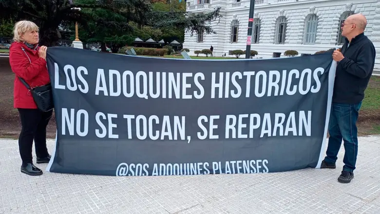 SOS Adoquines Platenses: "Están destruyendo el patrimonio y agravando las inundaciones en La Plata"