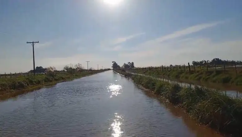 Inundaciones en los campos de 9 de Julio: "El 60 por ciento está tapado de agua"