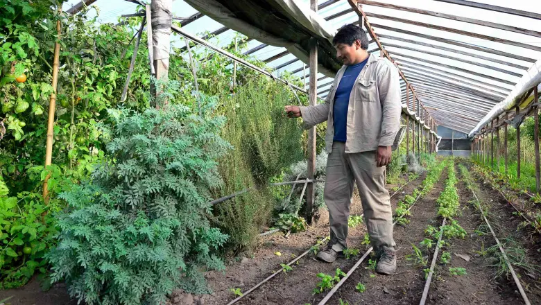 ASOMA: "Nuestra producción se queda en las quintas mientras se importan alimentos"