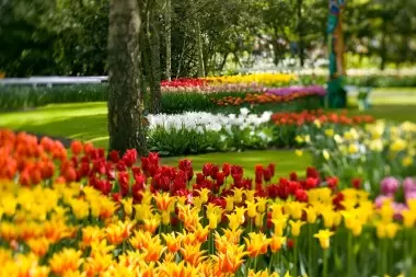 ¿Por qué somos más felices en primavera?