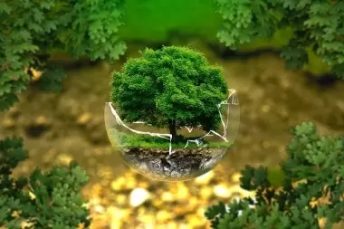 Denuncian a 39 países por no hacer nada por el medioambiente