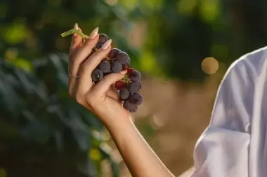Analía Sánchez: "Las mujeres en el campo no consiguen trabajo fácilmente"