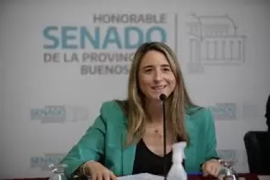 Flavia Delmonte: "Es hora de que la provincia regule el uso de animales en trabajos urbanos"