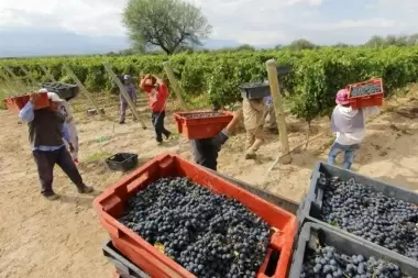 "General Alvear tiene vinos exquisitos, nada que envidiarle a otras zonas"