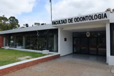 Facultad de Odontología UNLP: “El cannabis medicinal nos permite atender sin anestesia general”