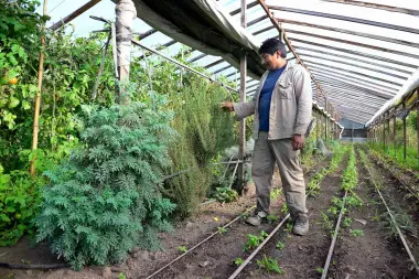 ASOMA: "Nuestra producción se queda en las quintas mientras se importan alimentos"